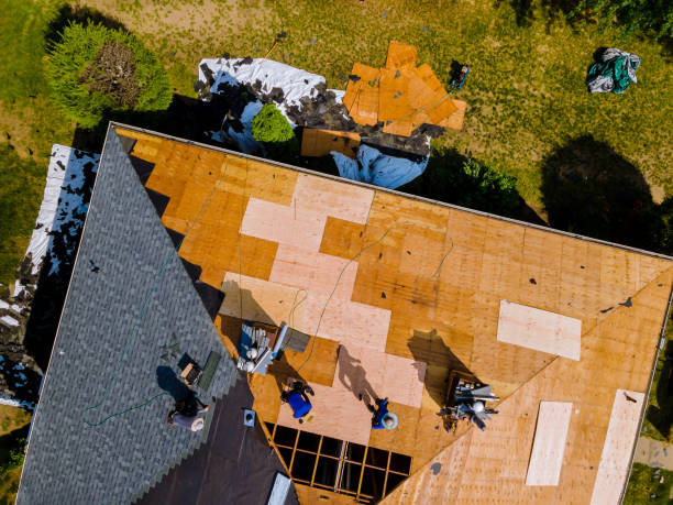 Best Metal Roofing Contractor  in Chevy Chase, MD