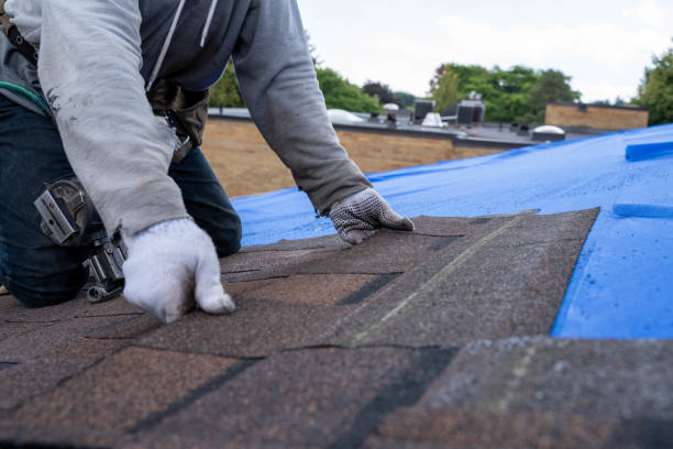 Best Roof Repair Services  in Chevy Chase, MD